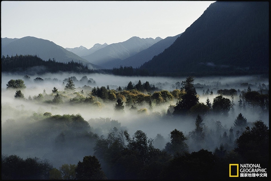 奧林匹克國家公園，華盛頓州攝影：Sam Abell，國家地理創(chuàng)意版