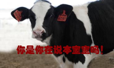 關(guān)我什么事！