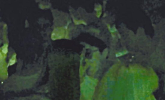 房祖名去年被港媒直擊在中環(huán)夜店與長發(fā)妞互動曖昧，女生正是Nana