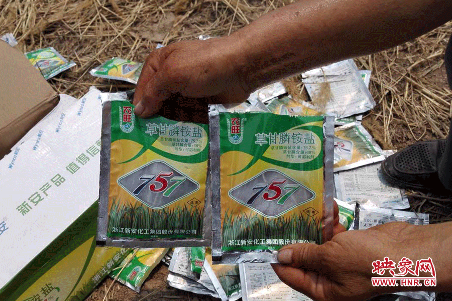 毀掉玉米的農(nóng)藥袋散落在地頭。