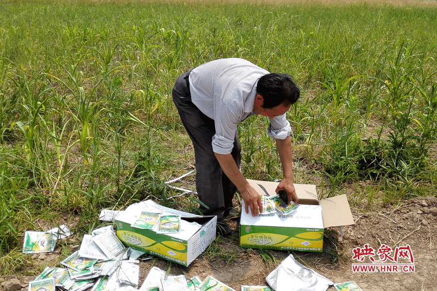 村民察看摧毀玉米的農(nóng)藥。