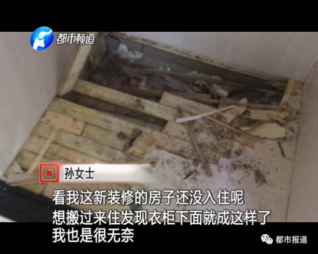 蟻族大軍入侵！十幾萬裝修的新家被“吃掉”