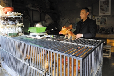 南京另一家農(nóng)貿(mào)市場內(nèi)待售的活雞。因南京出現(xiàn)H7N9禽流病例，買活雞的顧客減少。