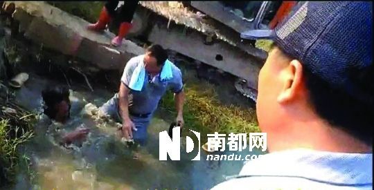 男子沒入水塘后試圖反抗，遭戴黑帽男子毆打。視頻截圖