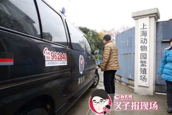 殯葬車到達(dá)現(xiàn)場(chǎng)。新民網(wǎng) 記者 蕭君瑋 攝