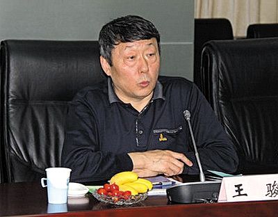 國家能源局新能源和可再生能源司司長王駿。