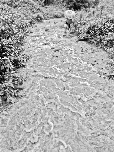 梅子回家的山道，晴天是路，雨天是河