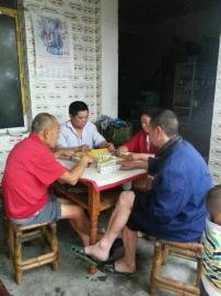 掃水掃不及，胥家鎮(zhèn)柏河村的居民干脆打起了麻將。
