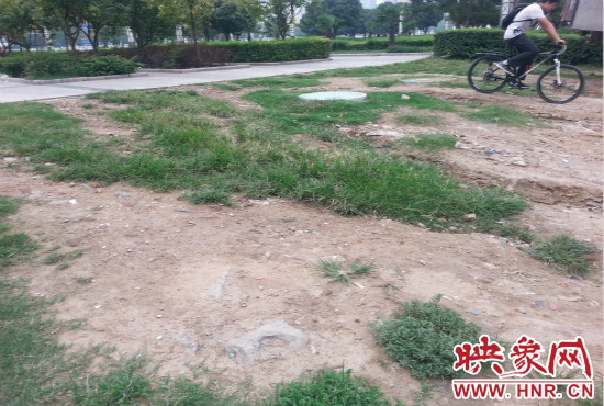 公園內(nèi)大片草坪遭到破壞。
