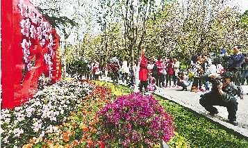 市民紛紛將鏡頭對準花叢。