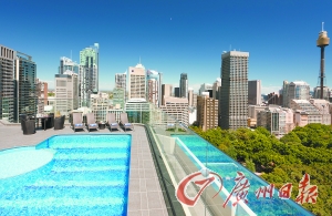 酒店屋頂游泳池俯瞰公園美景。