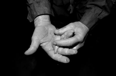 圖為科考人員發(fā)現(xiàn)的洞穴動(dòng)物（3月2日攝）。