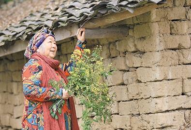 公式“時(shí)尚奶奶”的賞花照，收獲了好多人的點(diǎn)贊。 受訪者供圖