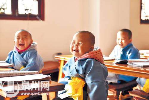 泉州延福寺現(xiàn)乖萌 泉州延福寺現(xiàn)乖萌