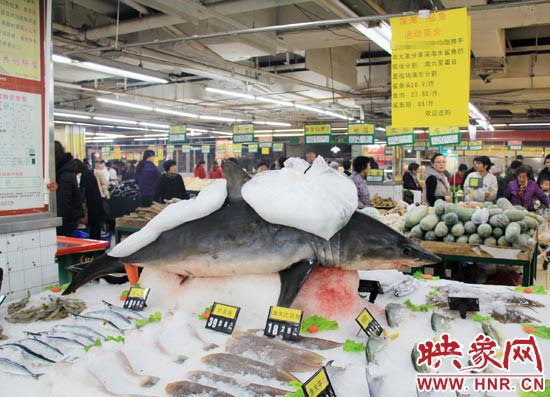 鄭州市一家超市海鮮區(qū)的冰架上赫然擺著一整條鯊魚在出售，鯊魚肉價格為23.80元每斤，遠(yuǎn)低于牛羊肉的價