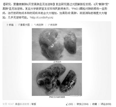 昨天，一則“霧霾使鮮肺6天變黑肺”的新聞在網(wǎng)上引發(fā)熱議。網(wǎng)絡截圖