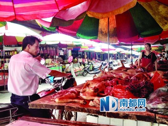  昨日，玉林垌口市場(chǎng)，一位市民在購(gòu)買狗肉。