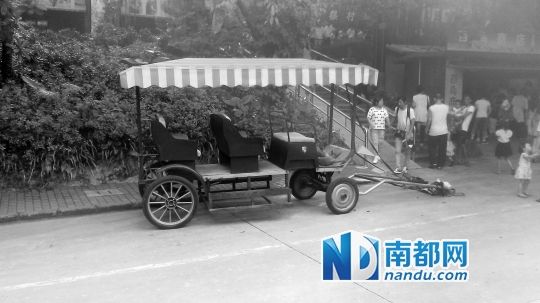 園方則稱解剖后發(fā)現(xiàn)馬死于心臟衰竭，“與累無關(guān)”。