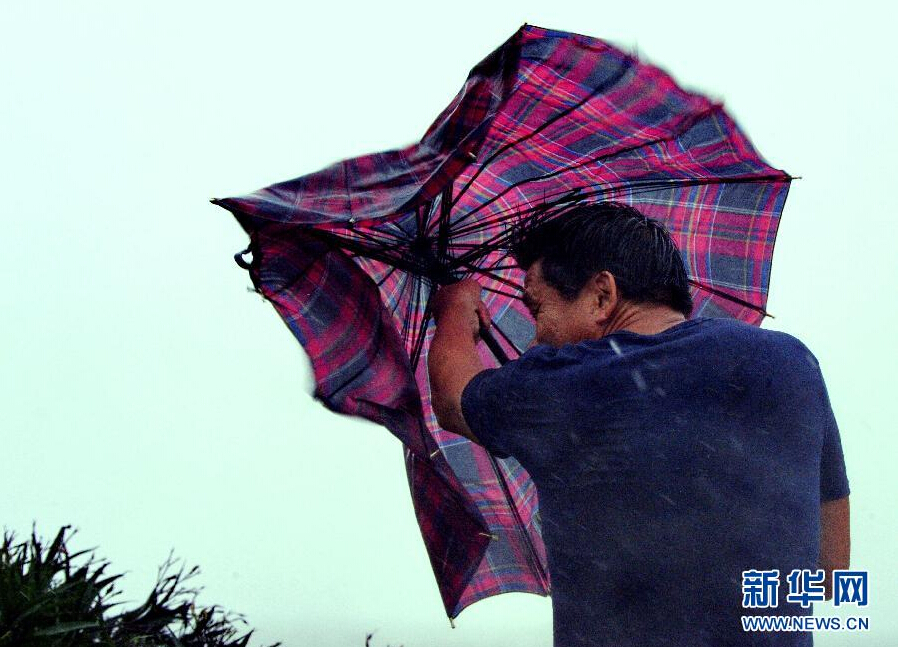 8月8日，福建省石獅市漁民在風(fēng)雨中前行。
