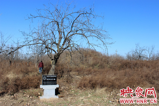 在叔齊墓的前面，豎著新鄭市人民政府今年剛立的石碑，上面寫著“新鄭市文物保護(hù)單位”。