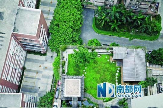 中旅商務(wù)大廈的“空中花園”。