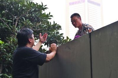 黃主任站在獨(dú)木樁上與男子交談了近半小時。