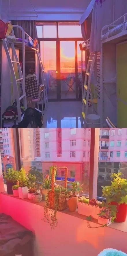 這個(gè)學(xué)校的男生宿舍火了！女同學(xué)都喊著要嫁