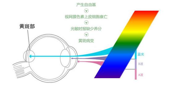 真能亮瞎眼？如何減少手機(jī)對眼睛的傷害