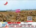 新修馬路種黃豆  如此做法為哪般？