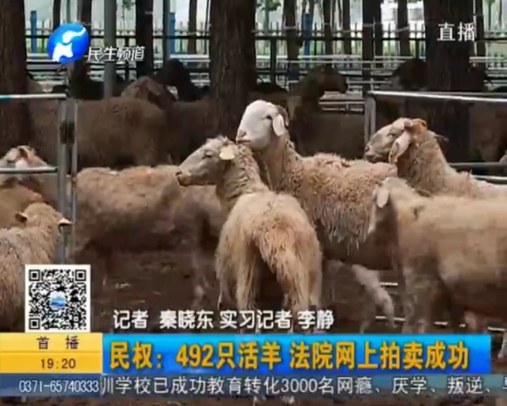 民權法院網(wǎng)上拍賣羊群