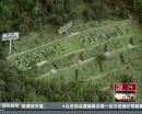 “垃圾場”拍婚紗：玩噱頭還是做環(huán)保？