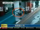 高速邊苦等十三天 主人你在哪里？