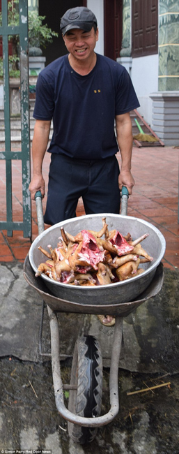 越南貓肉餐廳：將貓淹死、剝皮、切成小塊，再油炸